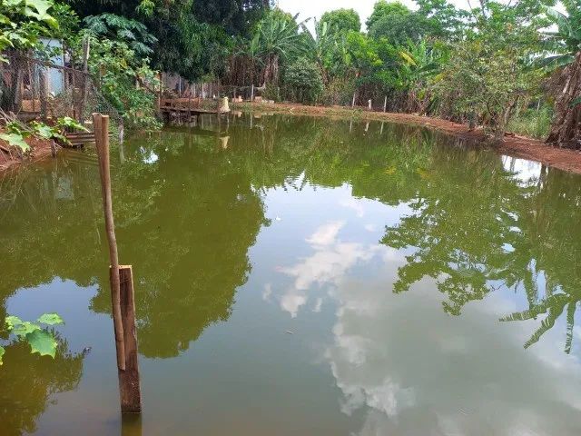 Brazil imobiliária vende chácara na Ponte Alta do Gama - Apenas 2 km da Cidade - Foto 2
