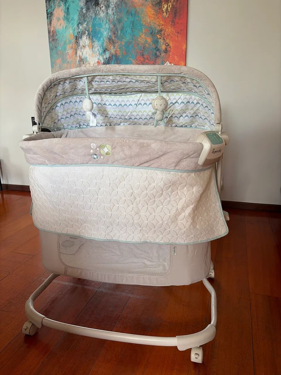 Bassinet ingenuity 