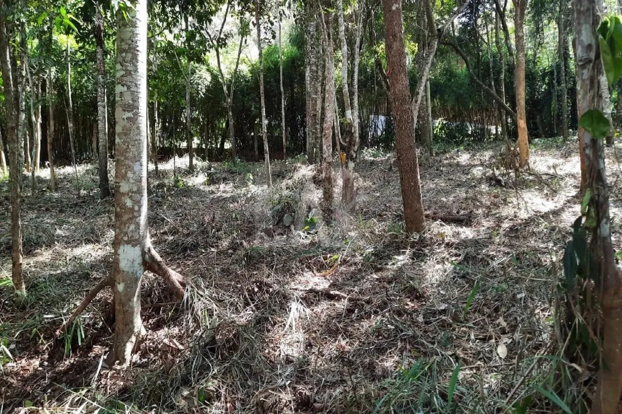 Lote em Condomínio à venda, Estância Serrana - Nova Lima/MG