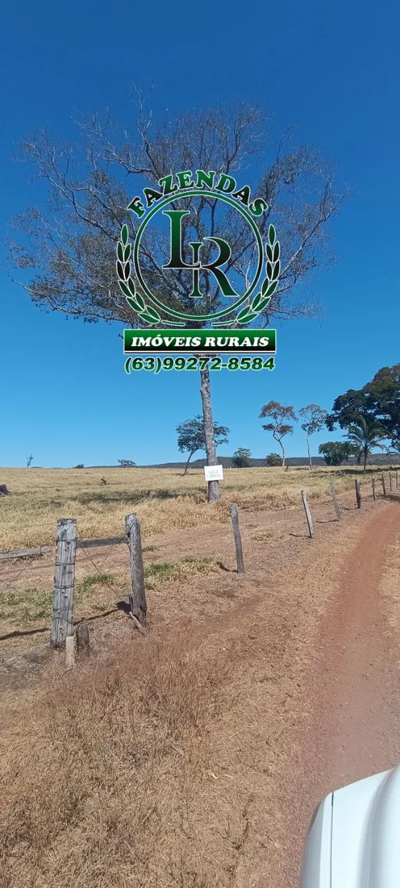 Fazenda Pecuária, Área 116 alqueires, Próximo a Palmas - Foto 4