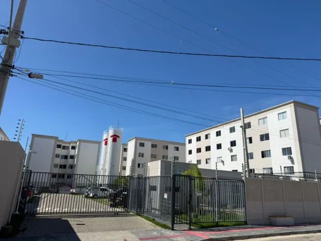 foto - Fortaleza - Curió