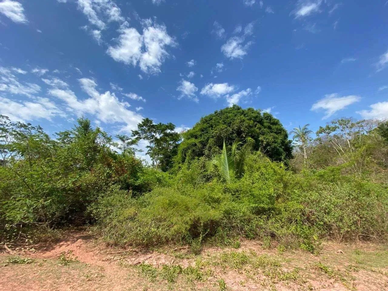 Terreno - venda - Foto 4