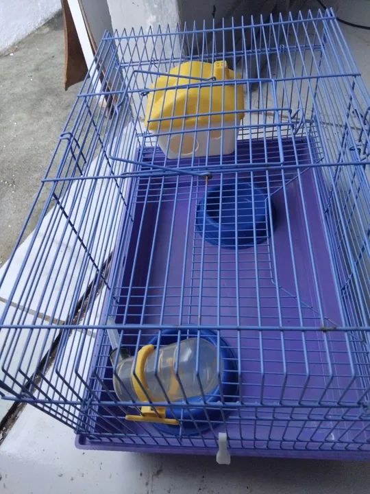 Gaiola para Roedores GRANDE - Foto 5