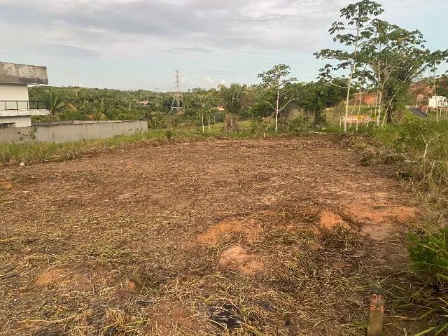 Fazenda Real - Terreno Quitado e Com Escritura - Imperdível - Foto 13