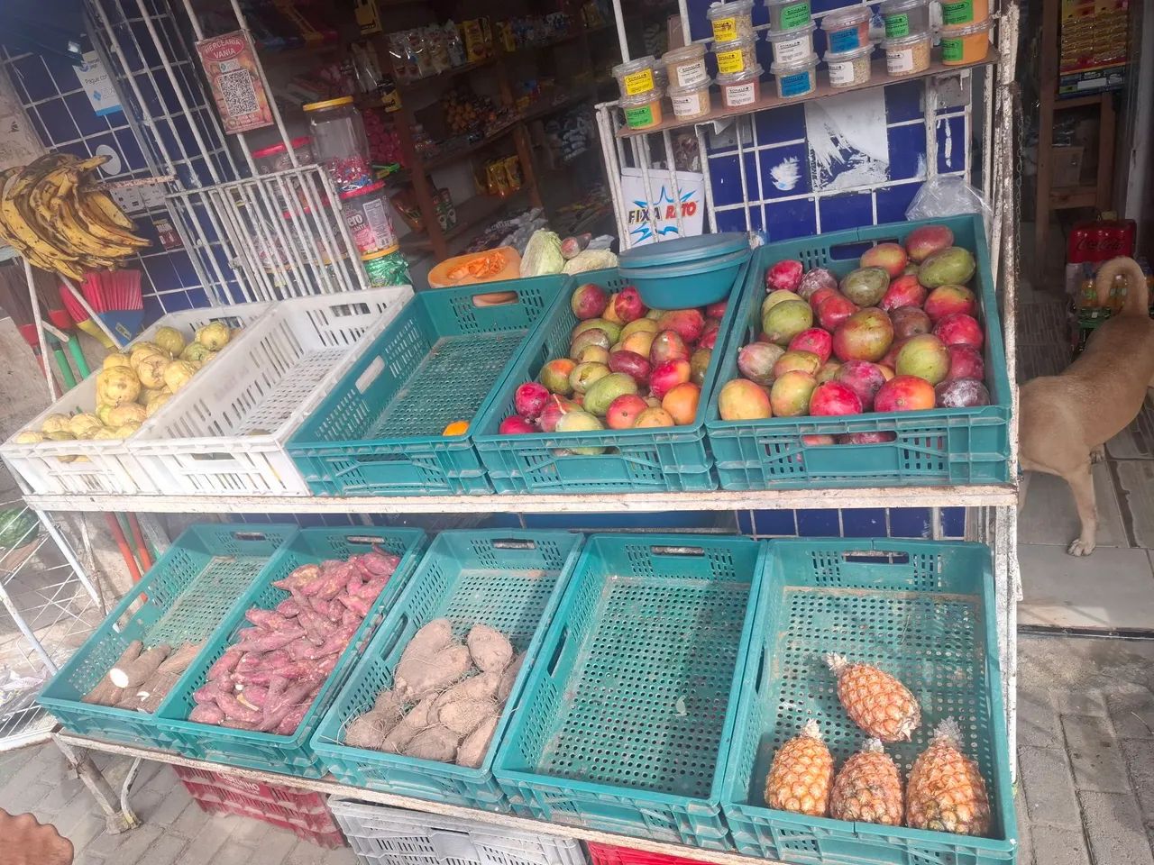 Bancada de ferro para frutas e verduras ( ja vai com as galeias ) - Foto 2