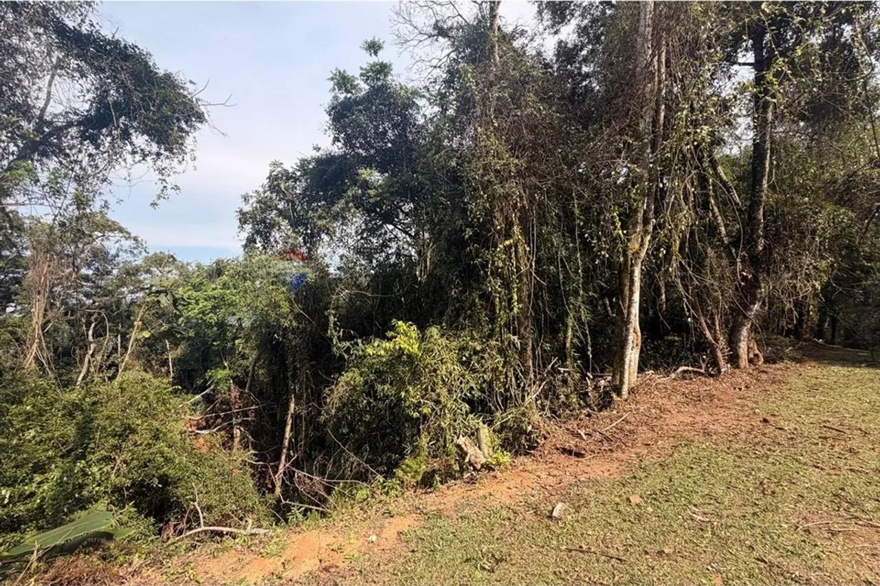 Terreno em Santa Inês: Oportunidade Imperdível! - Foto 5