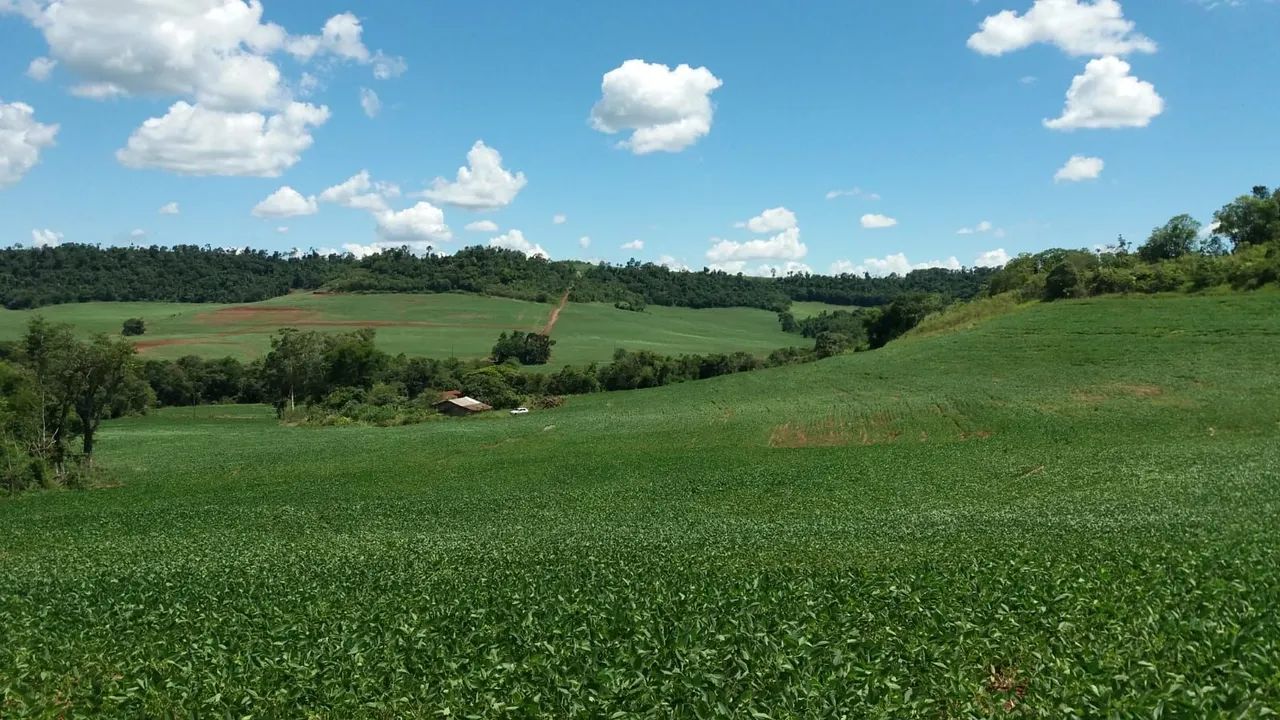 Vende-se sitio - Foto 4