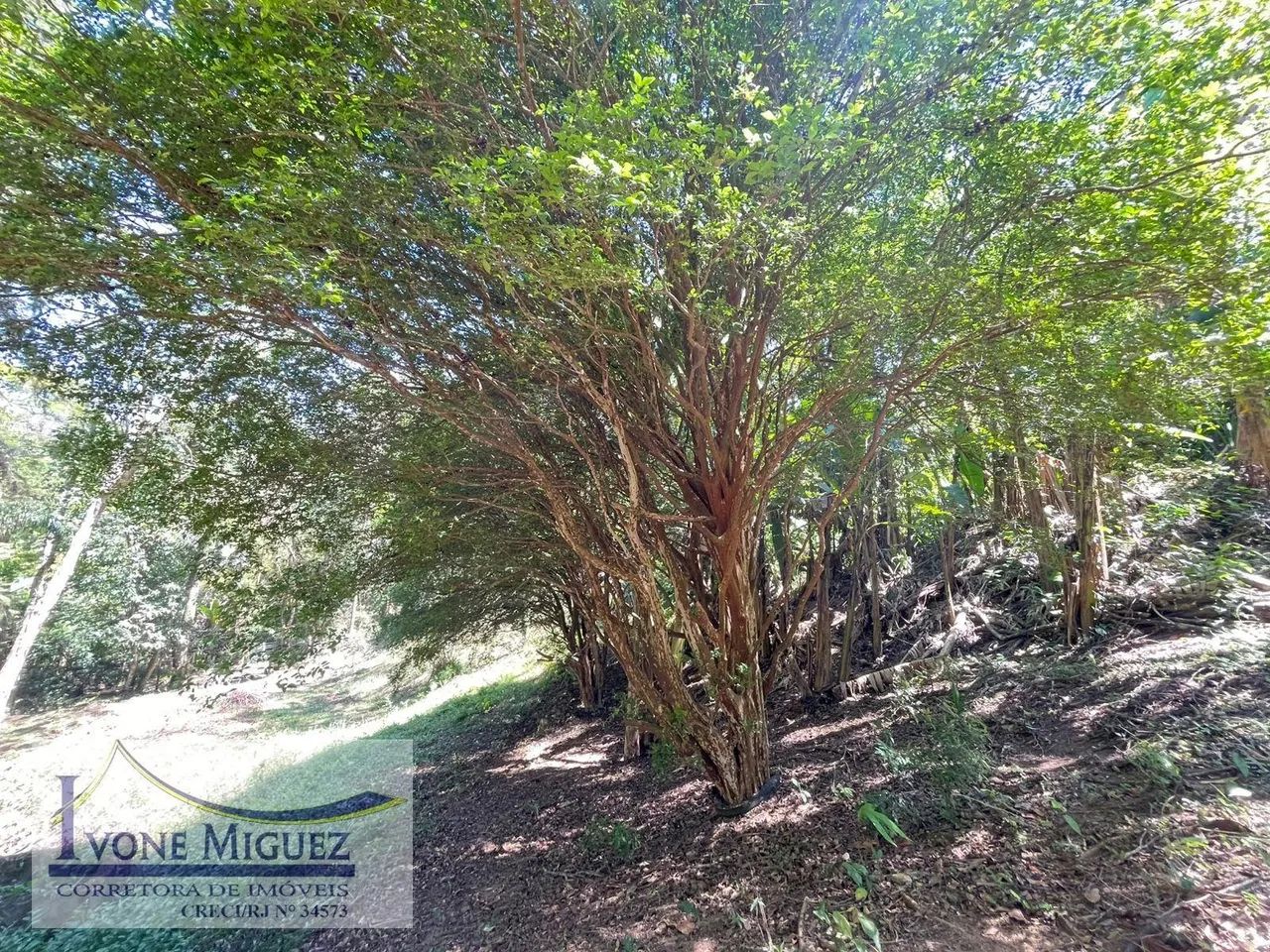 Terreno em Palmares - Paty do Alferes - Foto 4