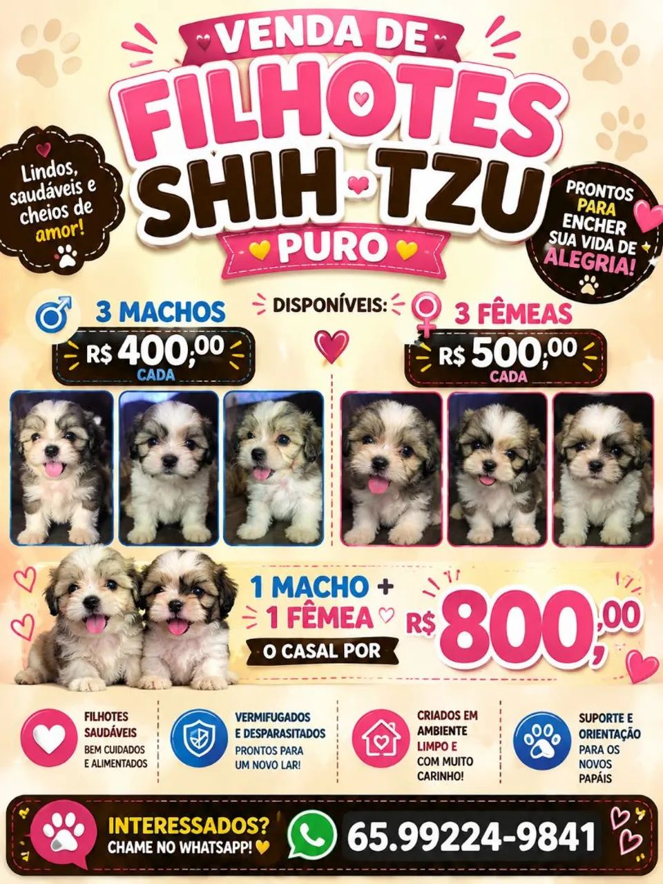 Cachorro ?
