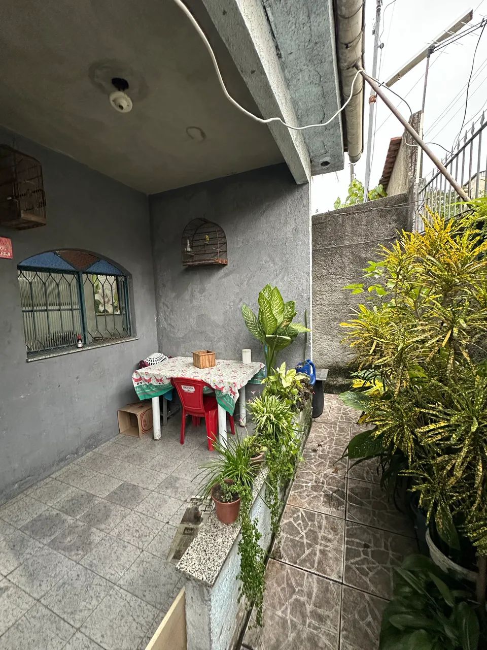 Foto - São Gonçalo - Coelho