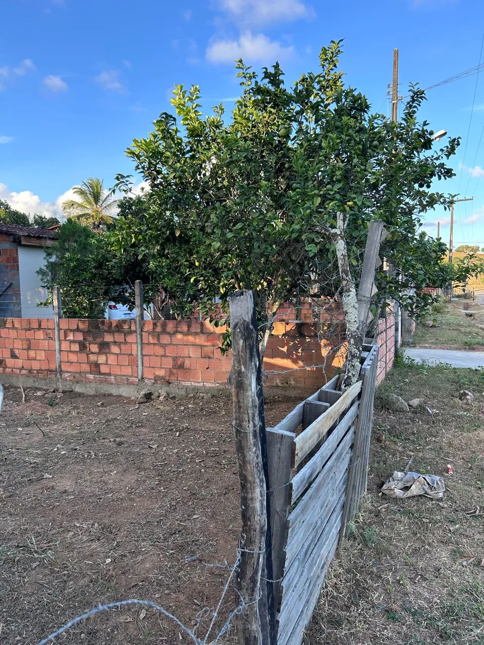 Terreno na avenida Palmeira (Carmopolis) - Foto 3