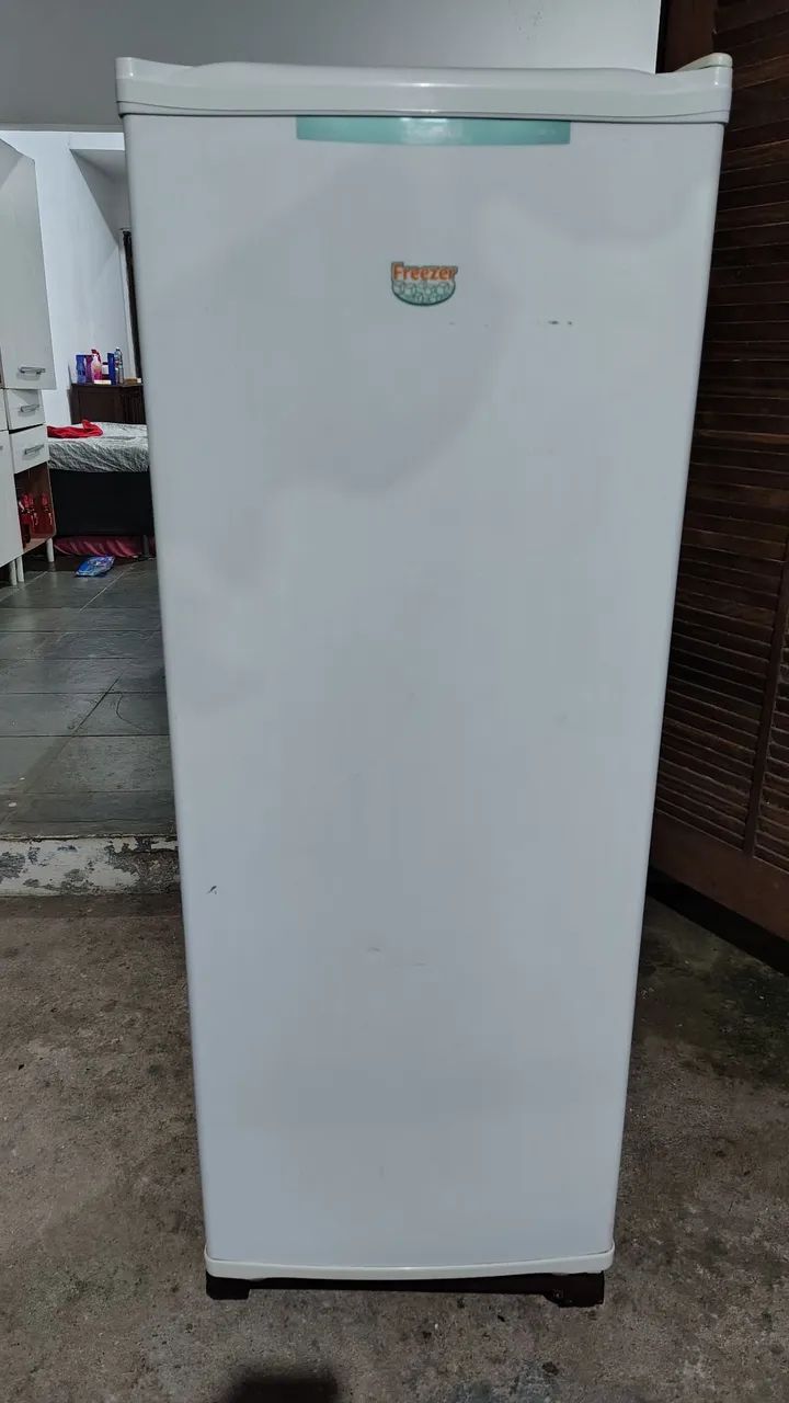 Freezer vertical