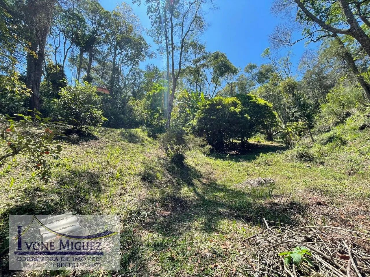 Terreno em Palmares - Paty do Alferes - Foto 3