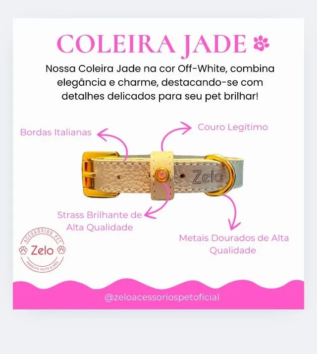 RAMO EM ACESSÓRIOS PET - OPORTUNIDADE COMPLETA DE NEGÓCIO 