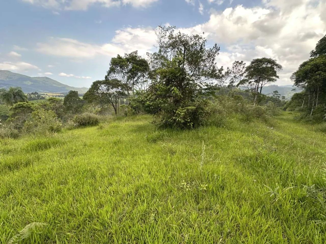 Sítio para Venda em Paulo Lopes, Penha - Foto 5
