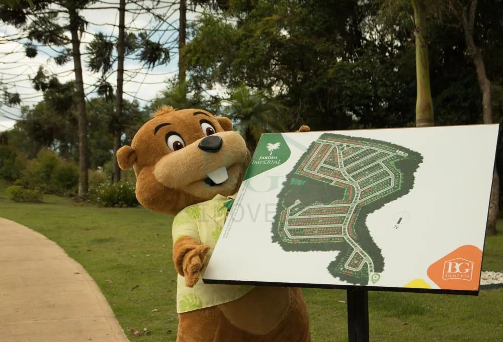 Terrenos Loteamento em Caldas - Foto 5