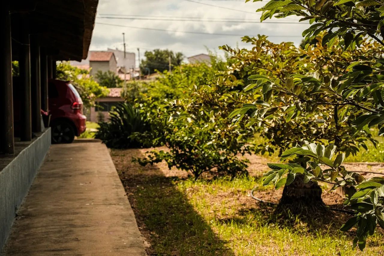 Chacara a venda beira riol - Foto 5