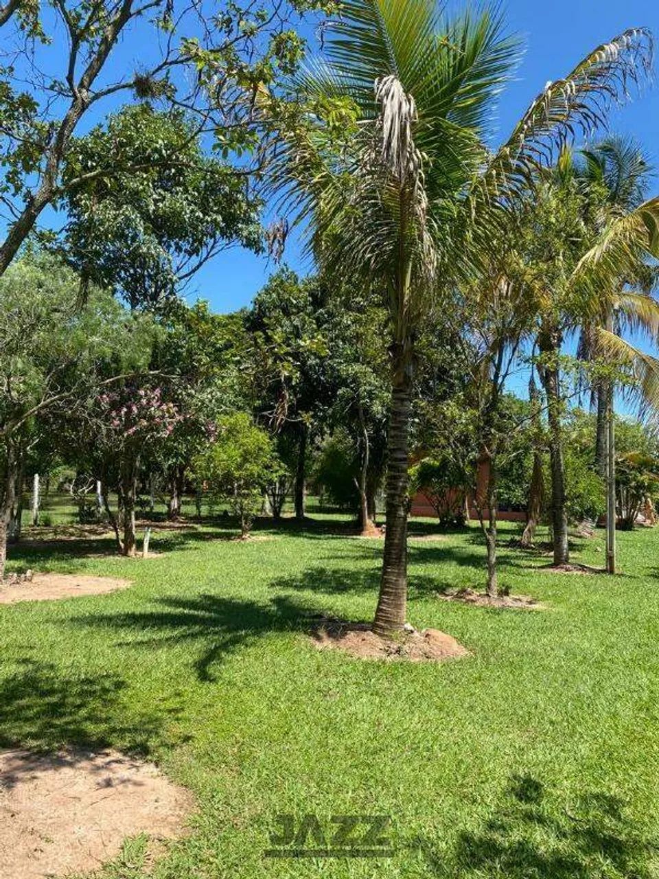 Chácara à Venda - Micai, Salto - 4.000m2 - 3 Quartos - Foto 3