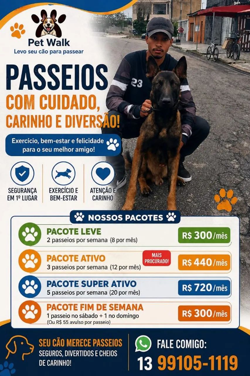Adestramento e passeio  - Foto 2