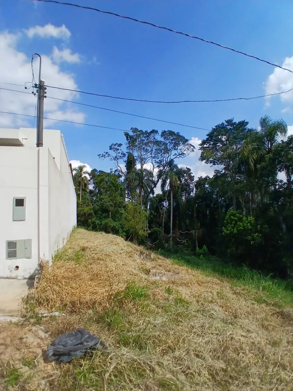 Foto - São Paulo - Jardim Umarizal