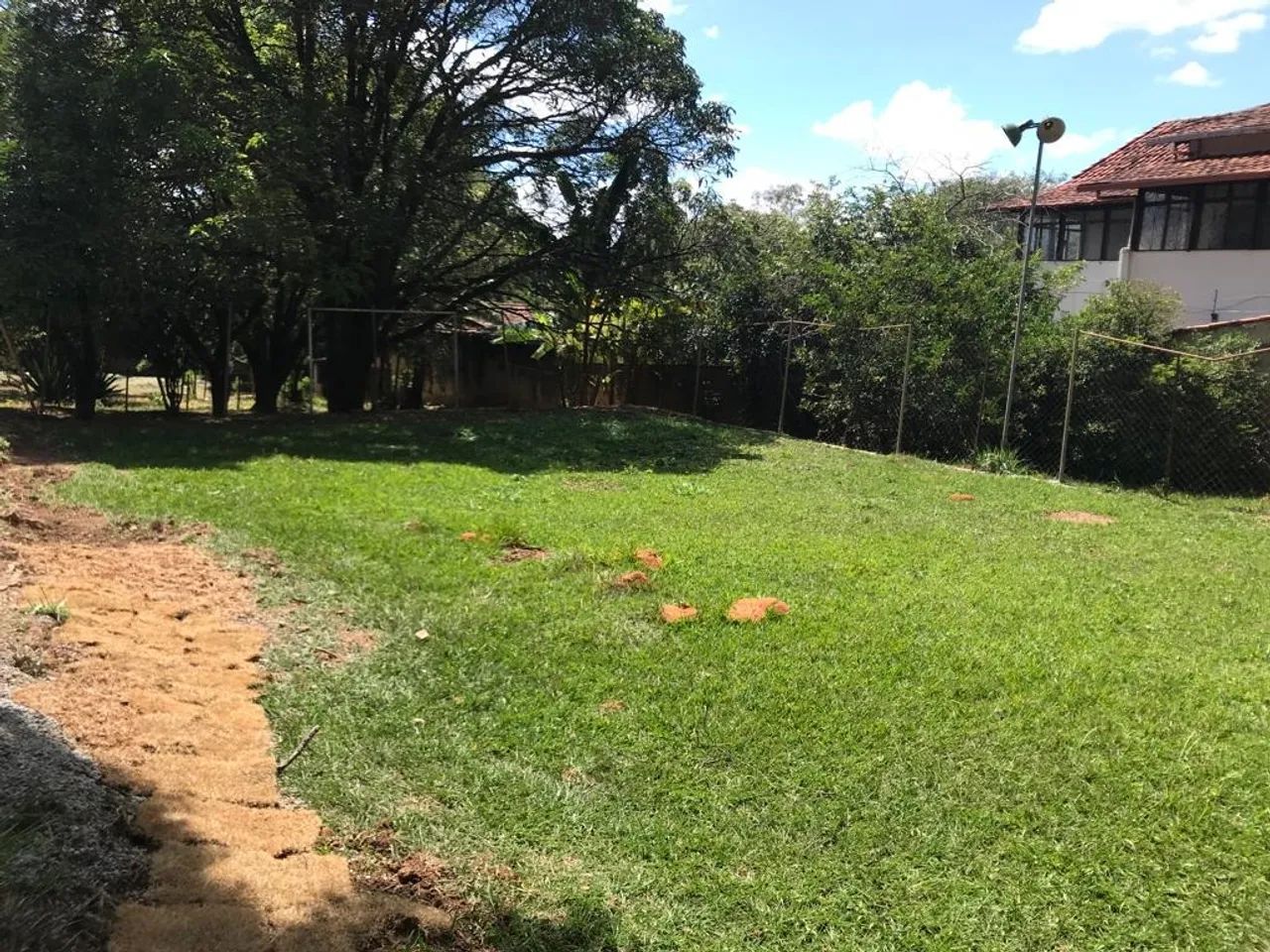 Lote no Bairro Braunas - Foto 3