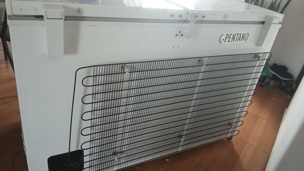 Frederico horizontal - Foto 5