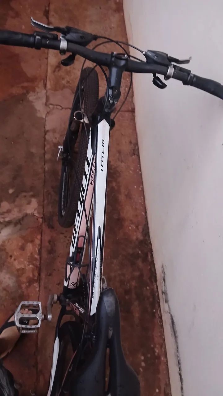 BICICLETA TOTEM