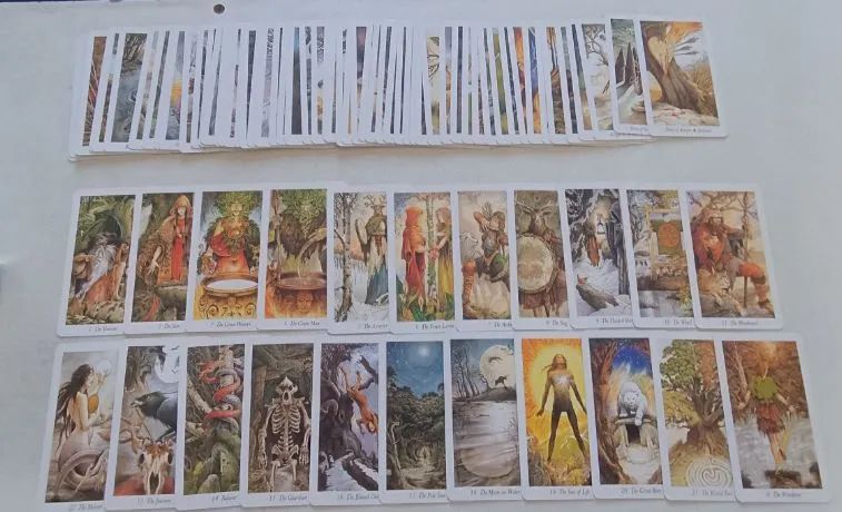 Oráculo Wild Wood Tarot - Foto 3