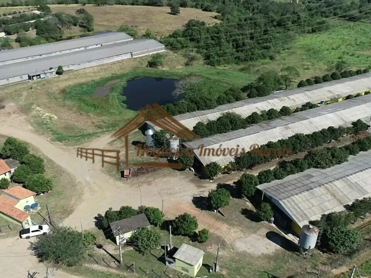 Sitio com granjas, 200 mil aves - Foto 5