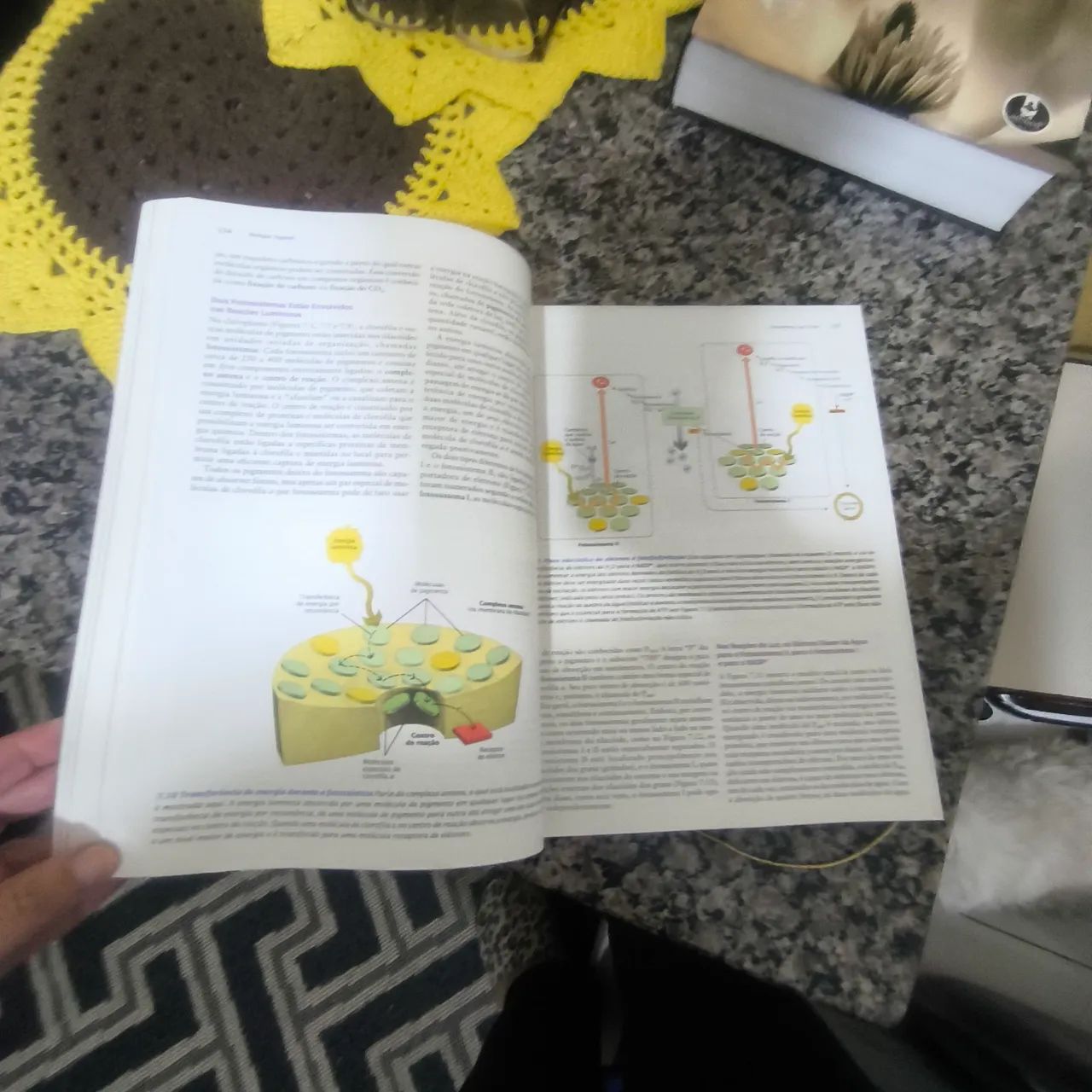 Livro de Biologia  - Foto 2