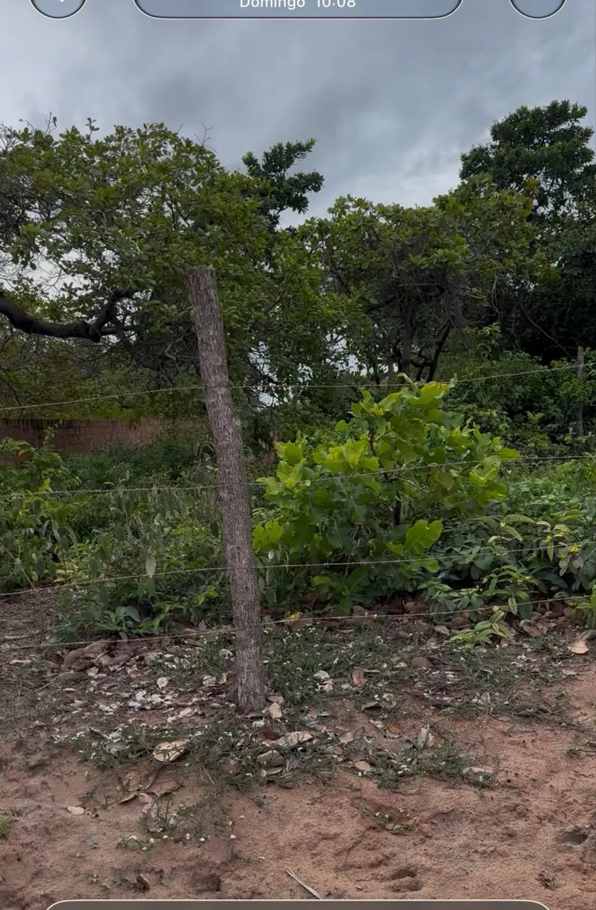 Terreno  em santo Amaro  - Foto 3