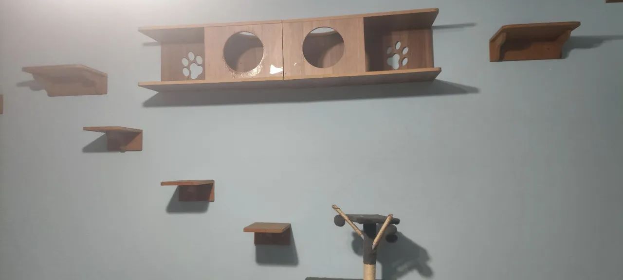 Hospedagem felina - Foto 3