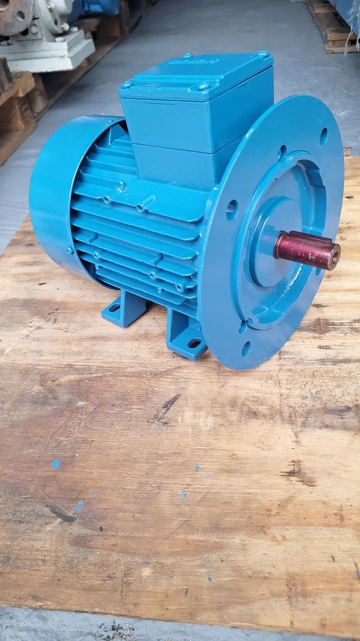 Motor elétrico trifásico 0.5 cv rotação 1125. - Foto 3