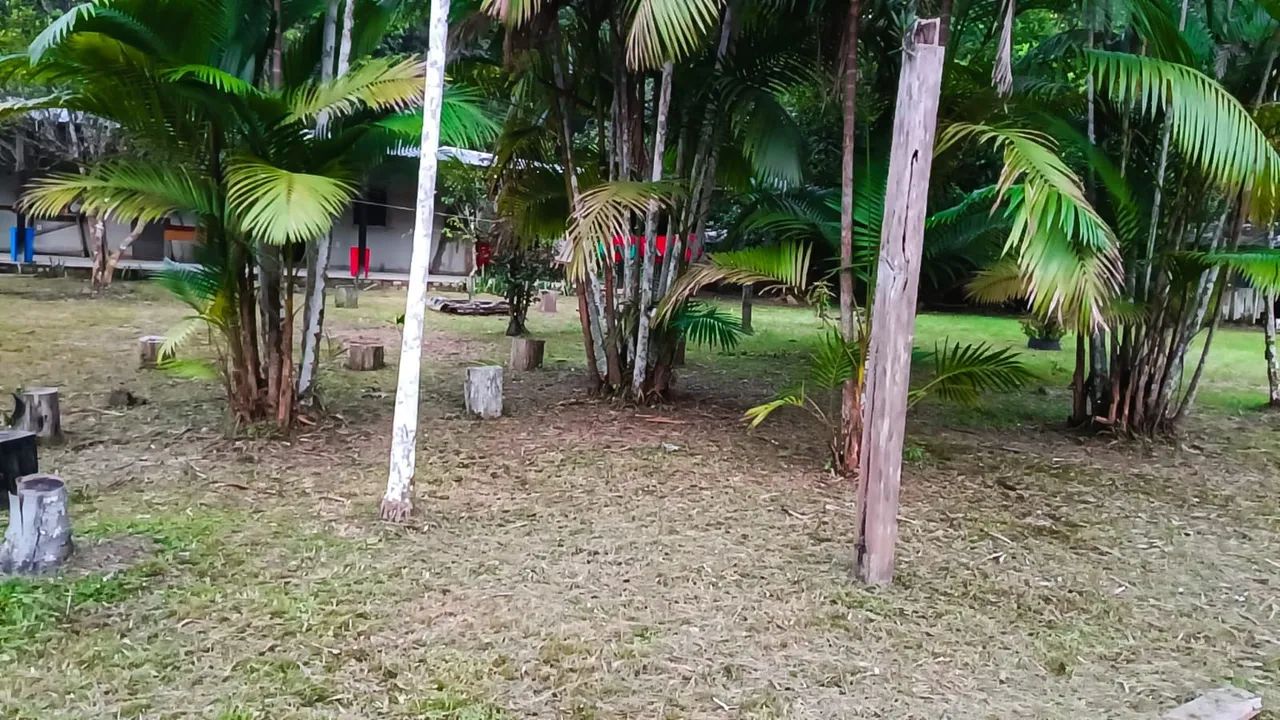 Sítio em presidente Figueiredo km 18 da estrada de Balbina  - Foto 3