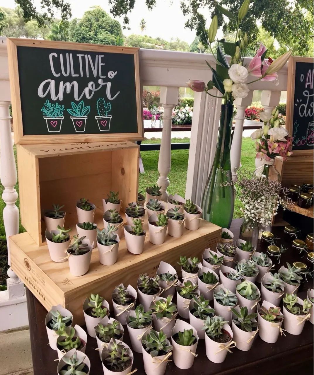 Vendo cactos  - Foto 4