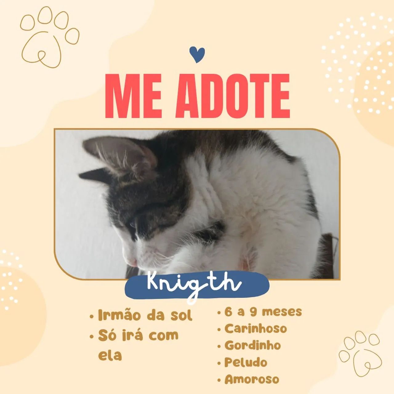 Adoção de irmãos Sol e Knigth  - Foto 2