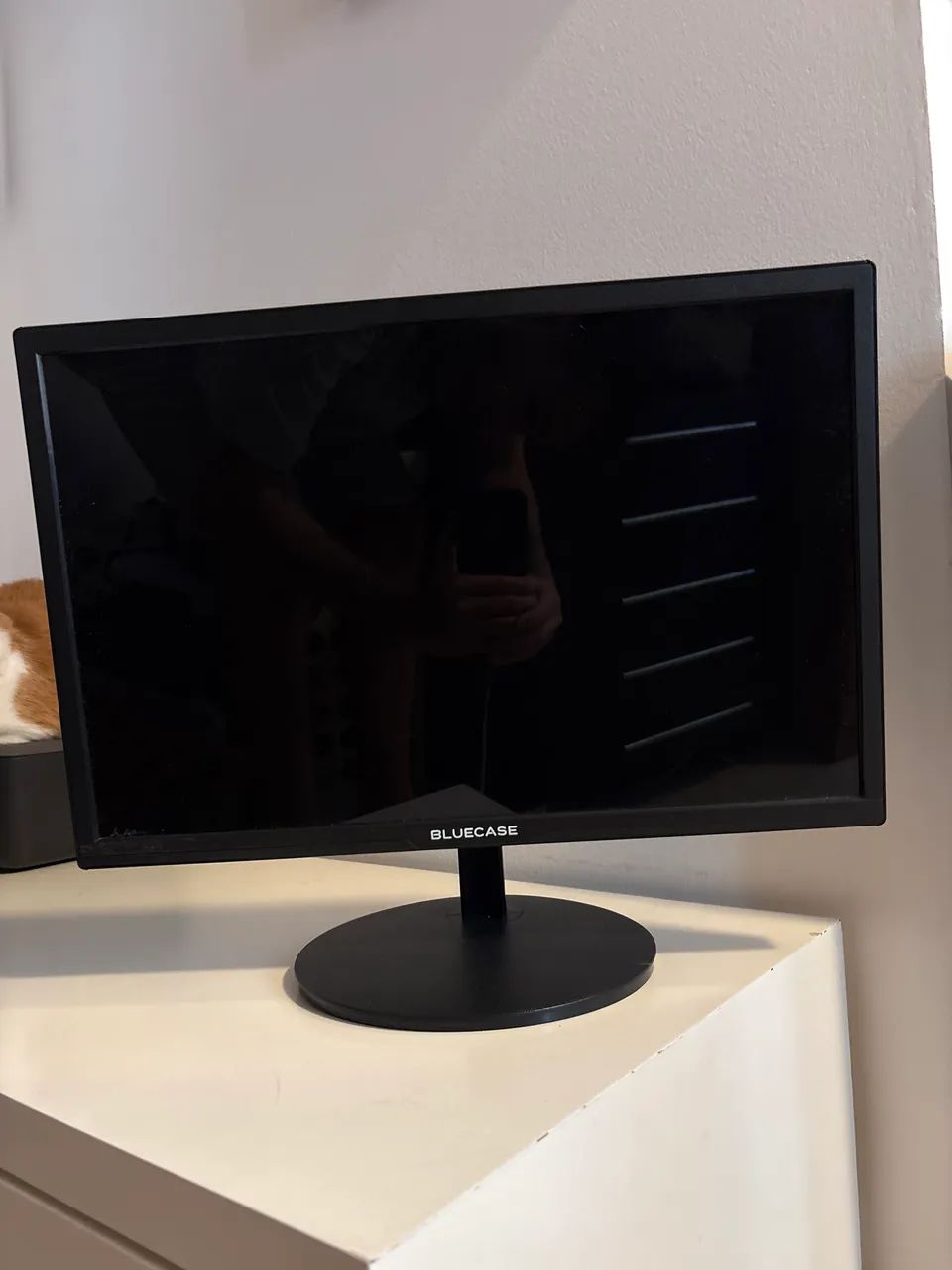 Monitor Bluecase 19" LED BM19X5HVW HDMI/VGA - Sem Cabos - Funcionando
