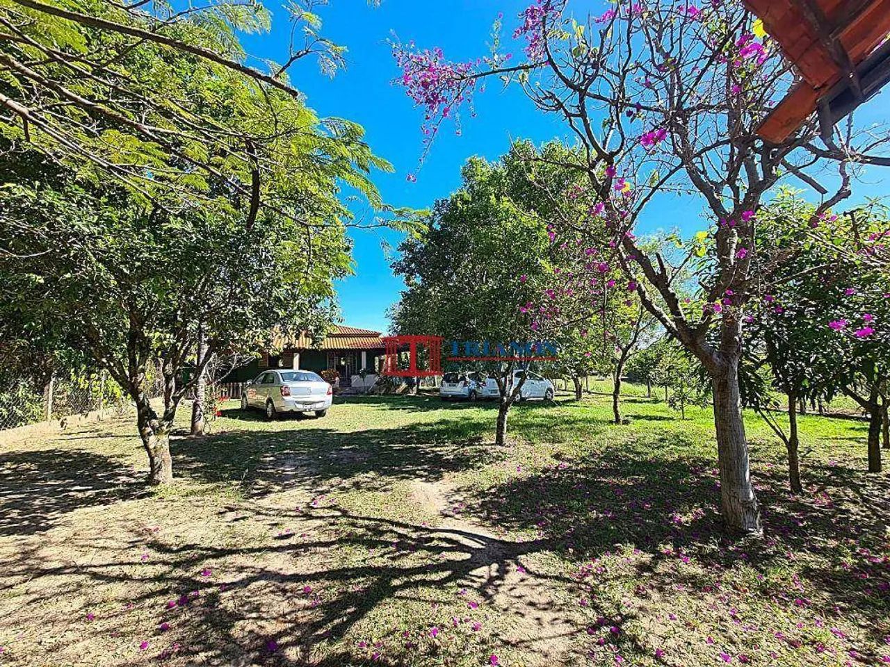Chácara no Bairro Sete Barroca - Foto 2