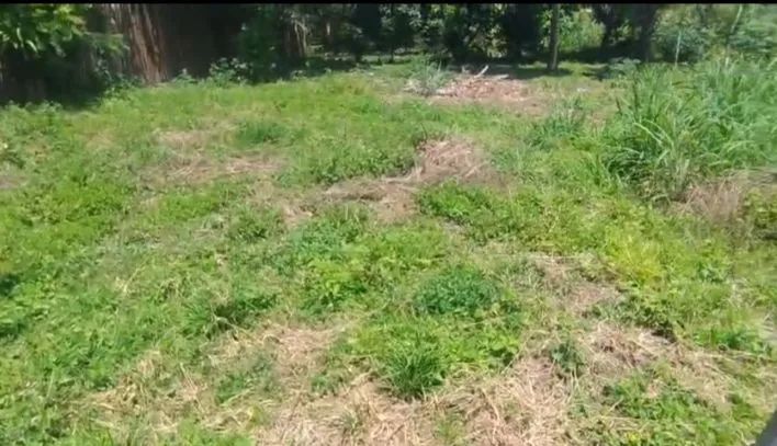 Vende-se esse terreno - Foto 3