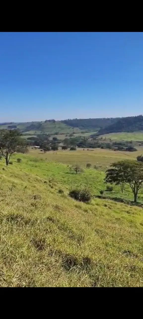 Fazenda ótima logística ,boi ,grãos etc - Foto 3