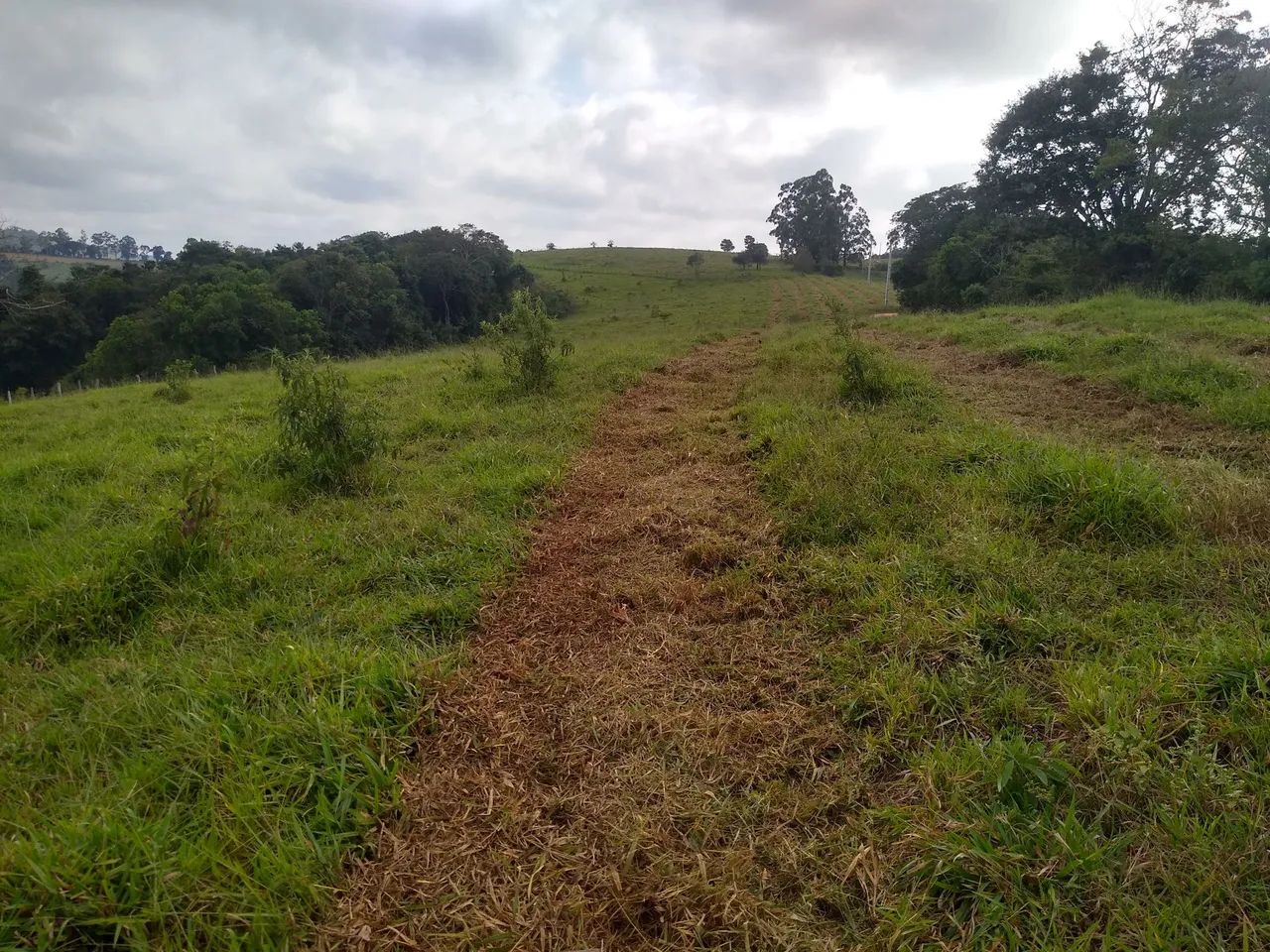 Terreno  - Foto 4