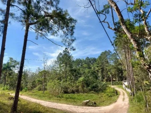 Maravilha de Terreno em Parelheiros - Foto 7