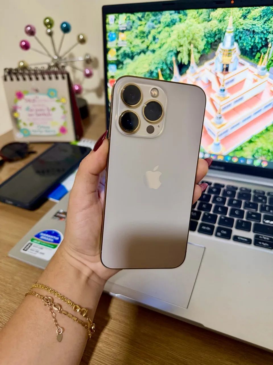 iPhone 13 Pro 