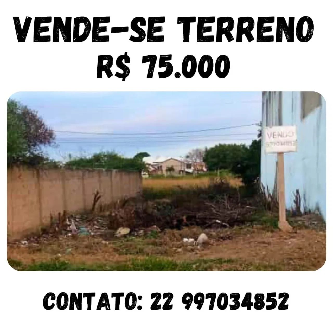 Foto - Campos dos Goytacazes - Donana