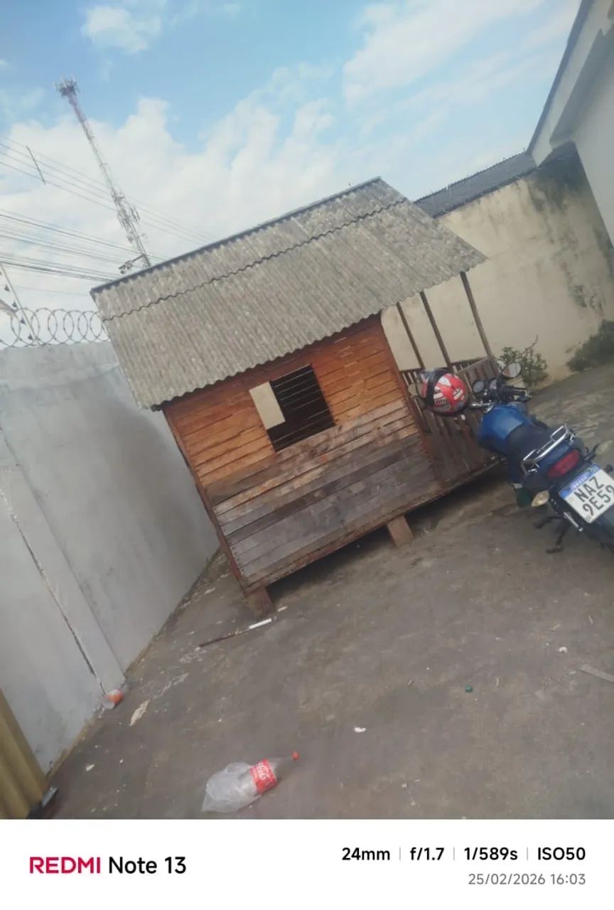 Casinha de madeira 