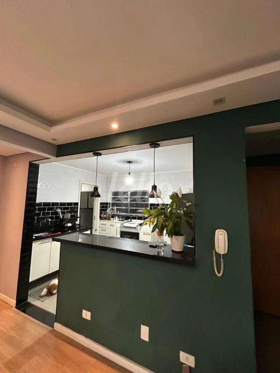 Apartamento 2 quartos à venda no(a) Tucuruvi - Foto 4