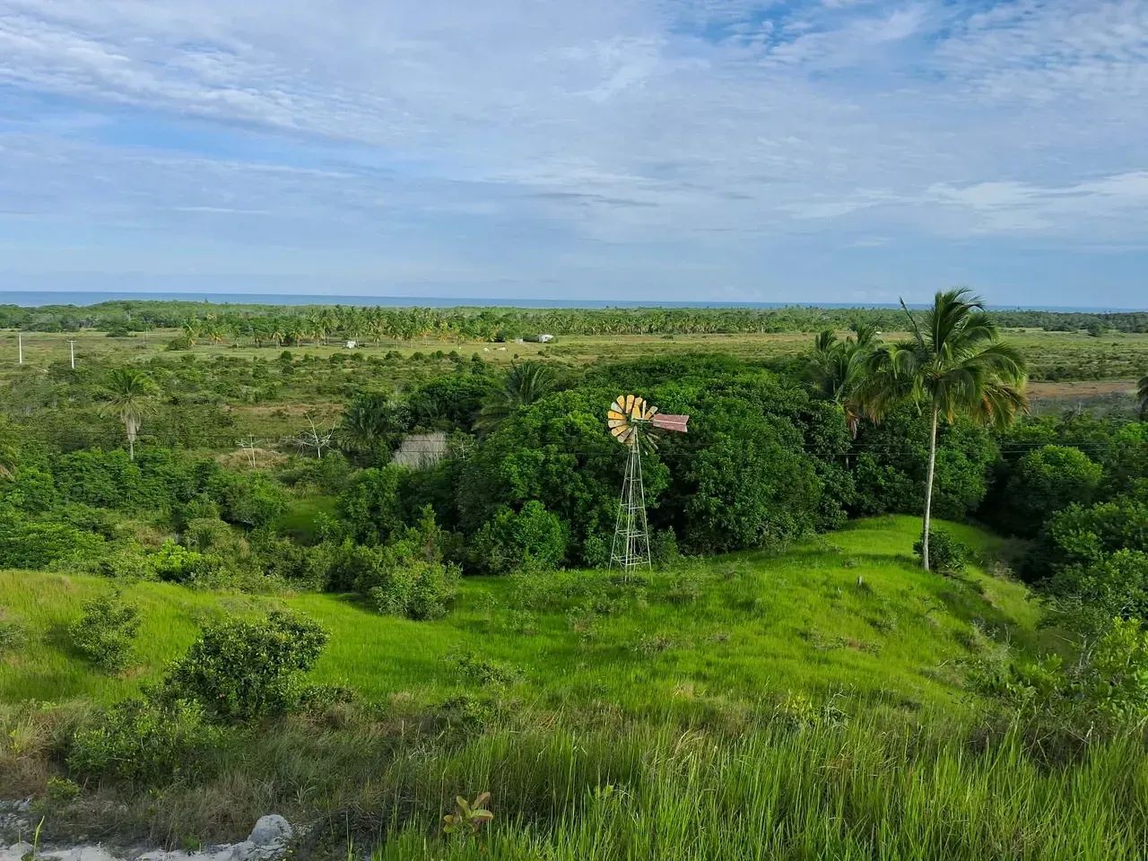 Área no litoral sul da Bahia - Foto 3