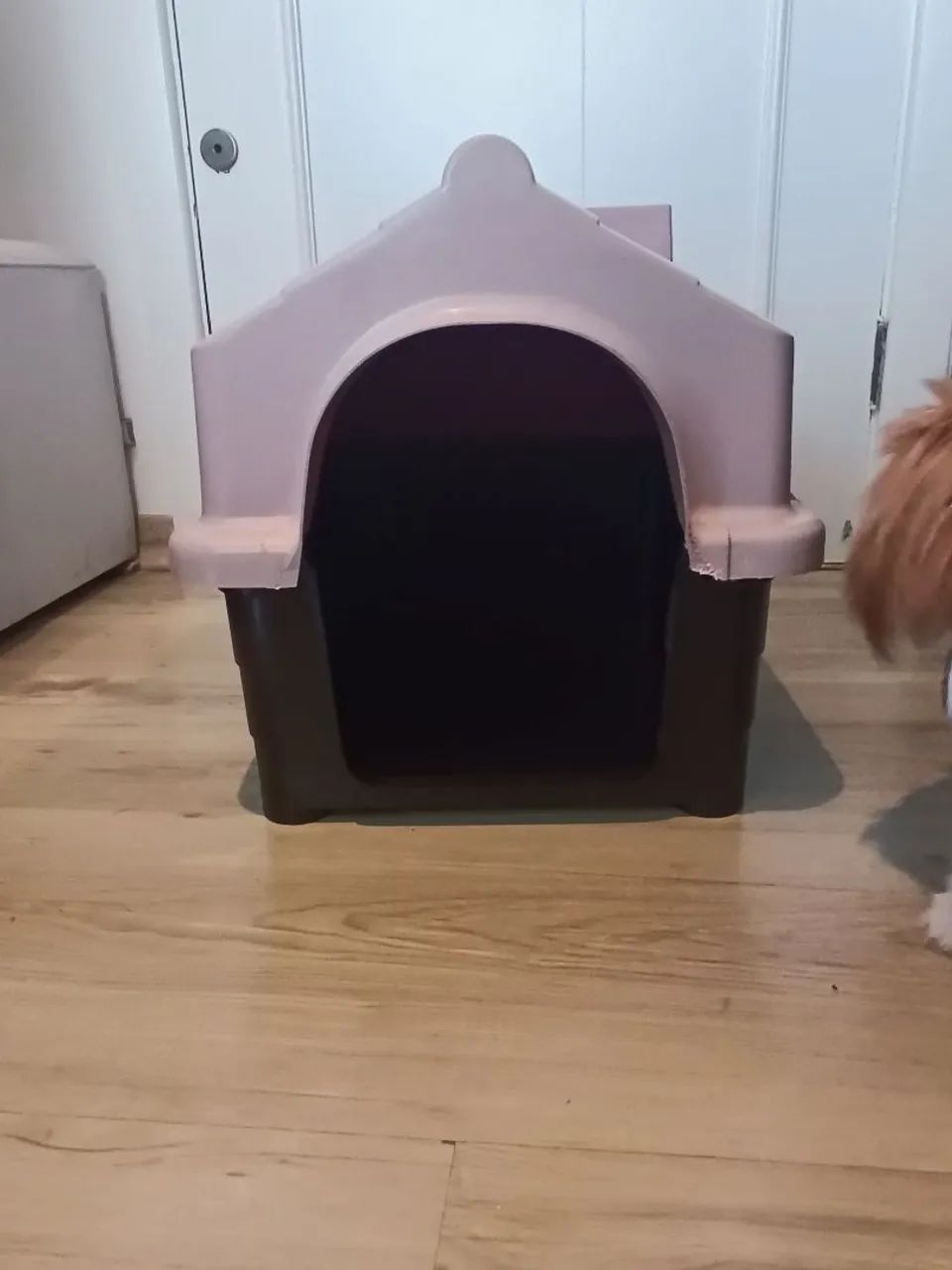 Casinha resistente para porte pequeno/médio  - Foto 2