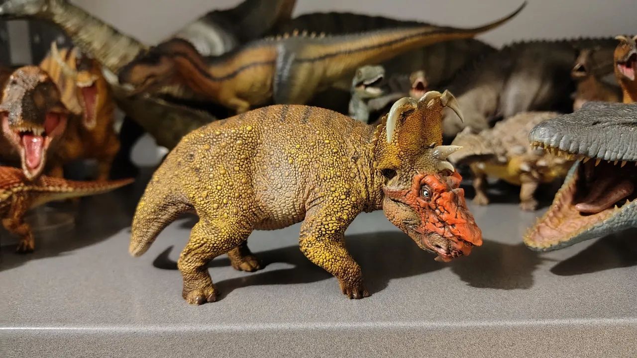 Pachyrhinosaurus PNSO 
