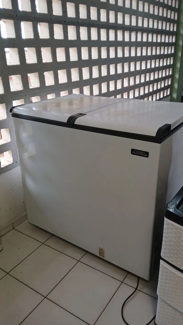 Freezer Esmaltec 350
